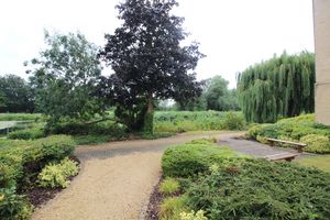 Photo 5- click for photo gallery